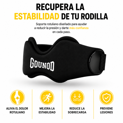 Banda rotuliana
